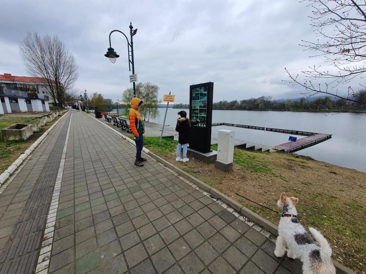 Andjelka A26 Apartment Veliko Gradiste Bagian luar foto
